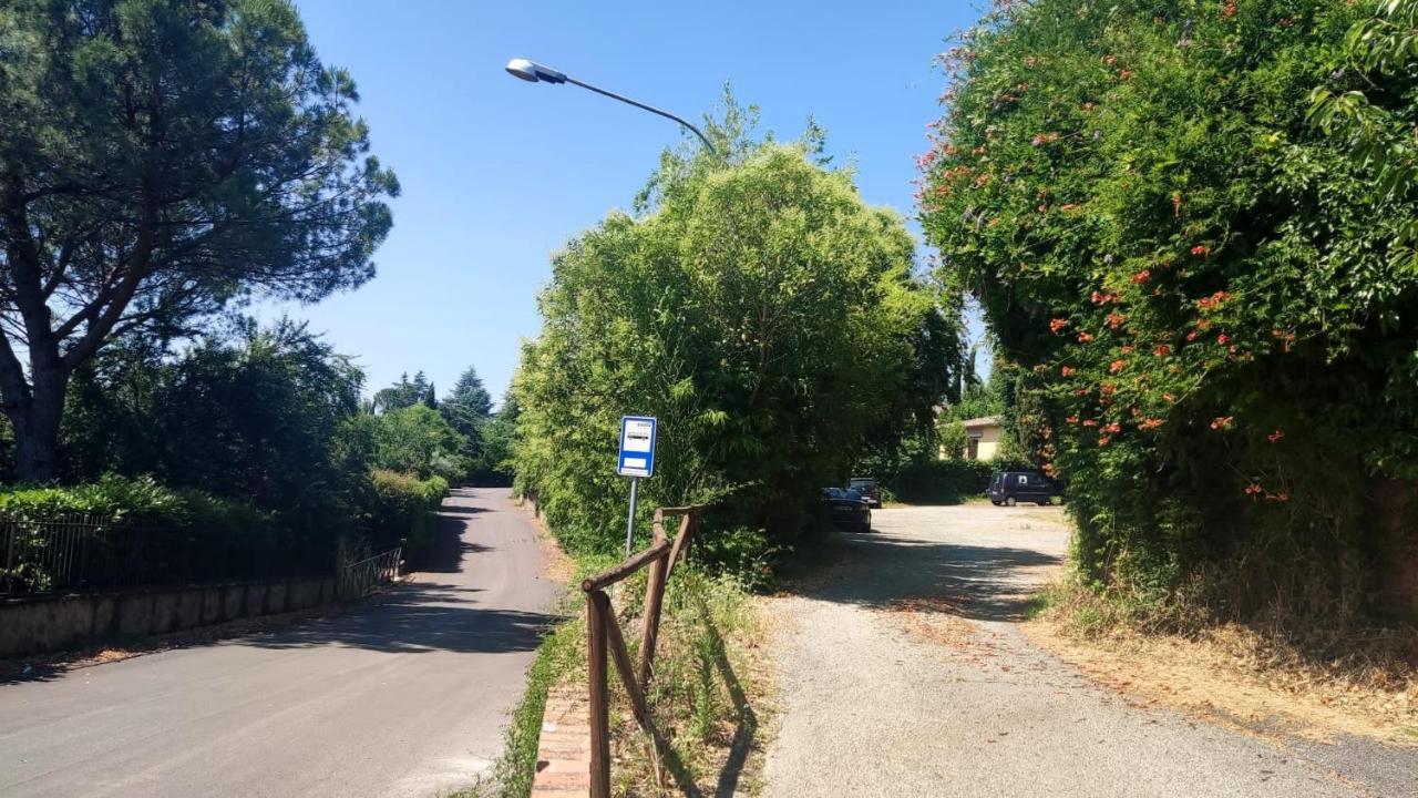 La Perla Nel Parco, Un'Oasi Di Pace Nella Natura 索维奇勒 外观 照片